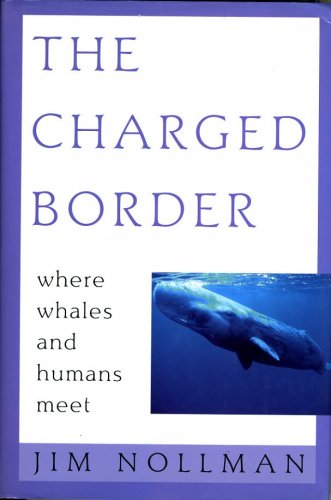 Charged border