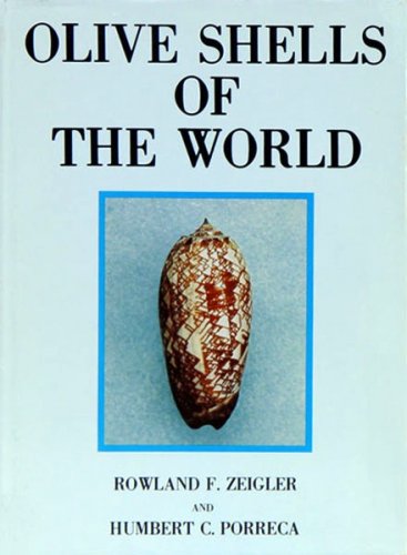 Olive shells of the world