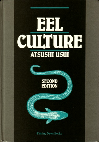 Eel culture