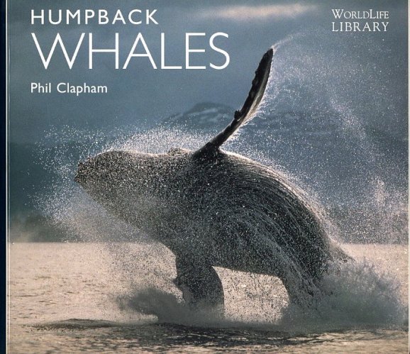Humpback whales