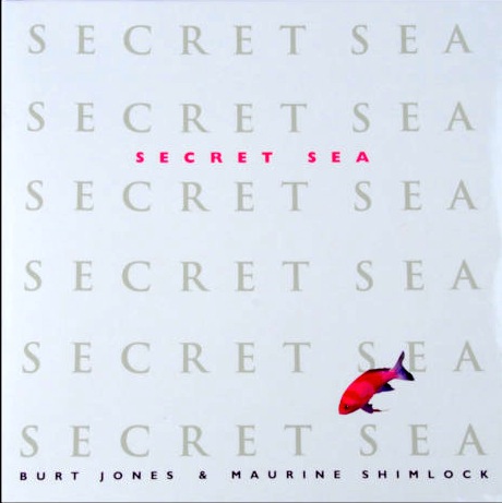 Secret sea