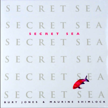 Secret sea
