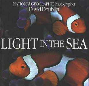 Light in the sea
