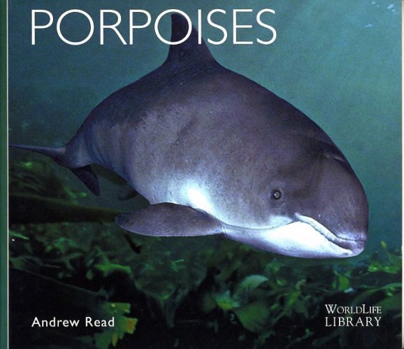 Porpoises