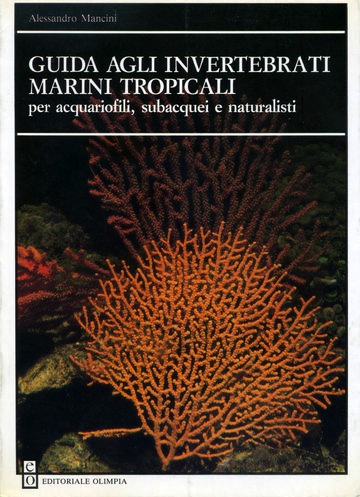 Guida agli invertebrati marini tropicali