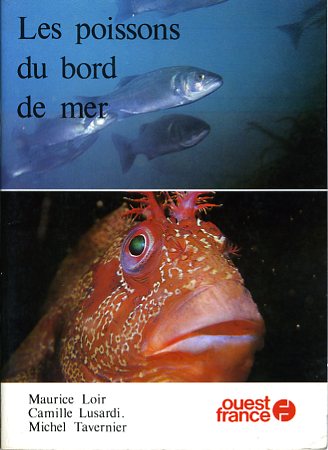 Poissons du bord de mer