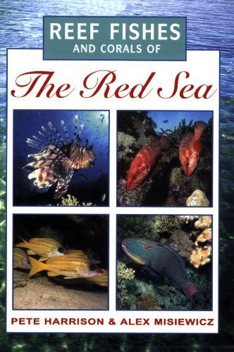 Reef fishes & corals of the Red sea