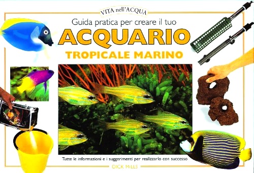 Guida pratica per creare il tuo acquario tropicale marino