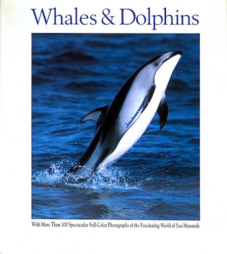 Whales & dolphins