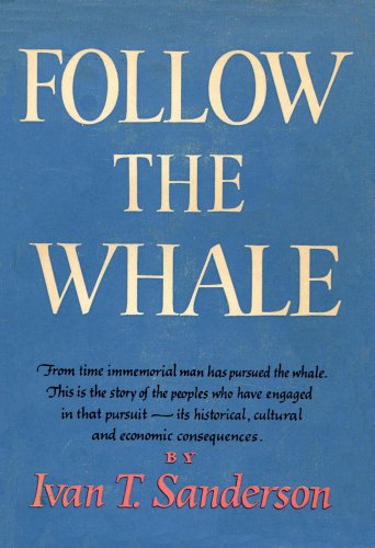 Follow the whale