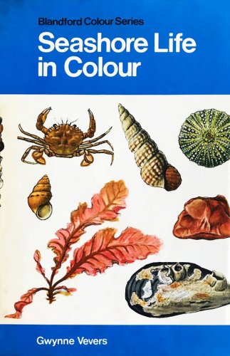 Seashore life in colour