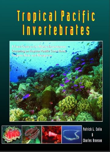 Tropical Pacific invertebrates