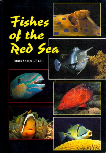 Fishes of the Red sea