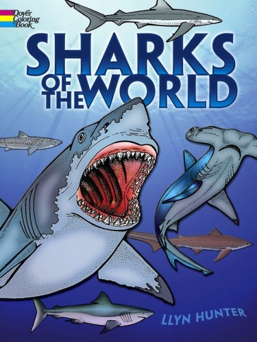 Sharks of the world