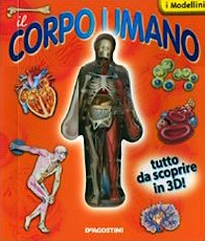 Corpo umano in 3D