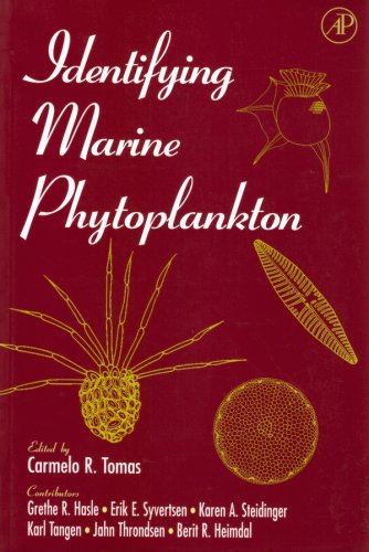 Identifying marine phytoplankton