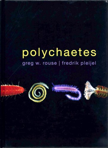 Polychaetes