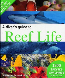 Diver's guide to reef life