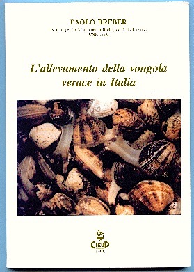 Allevamento della vongola verace in Italia
