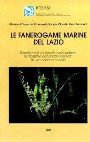 Fanerogame marine del Lazio