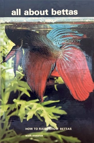 All about Bettas