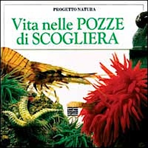 Vita nelle pozze di scogliera