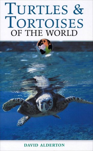 Turtles & tortoises of the world