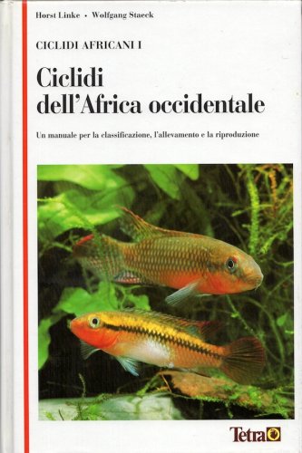 Ciclidi dell'Africa occidentale