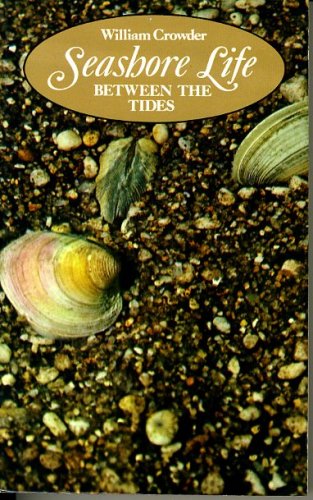 Seashore life between the tides