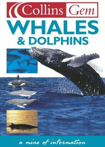 Whales & dolphins