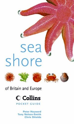 Sea shore of Britain & Europe