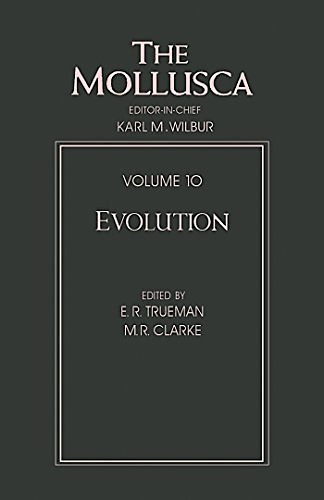 Mollusca vol.10