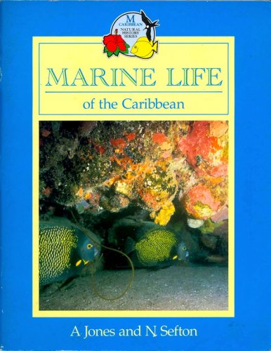 Marine life of the Caribbean
