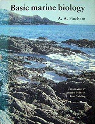 Basic marine biology