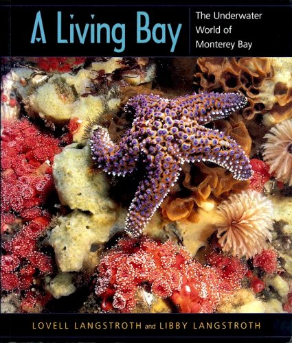 Living bay
