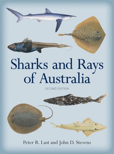 Sharks and rays of Australia