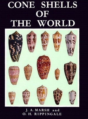 Cone shells of the world