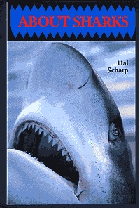 Answer to your questions about sharks