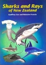 Sharks and rays of New Zealand