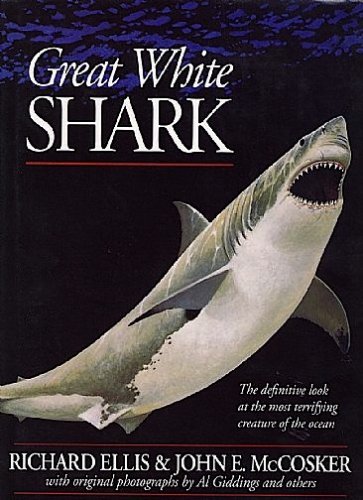 Great white shark