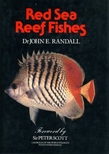 Red Sea reef fishes
