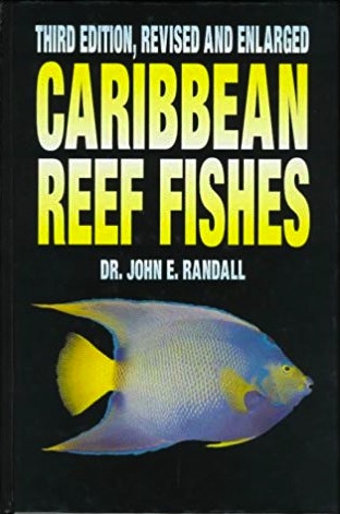 Caribbean reef fishes