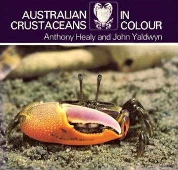 Australian crustaceans in colour