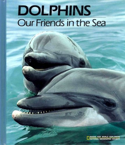 Dolphins: our friends in the sea