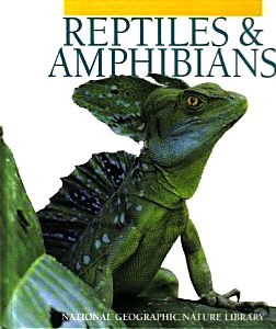 Reptiles & amphibians
