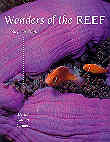 Wonders of the reef