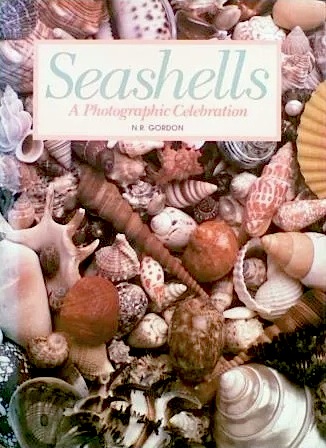 Seashells