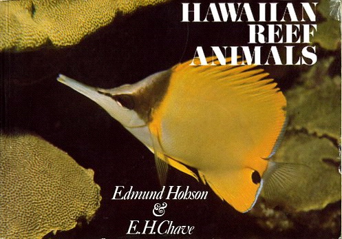 Hawaiian reef animals