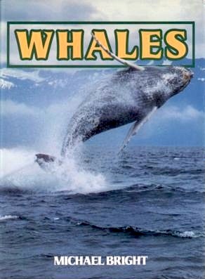Whales