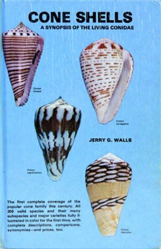 Cone shells